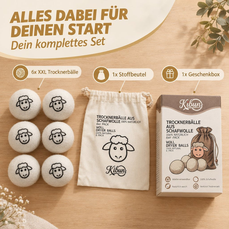 Trocknerbälle aus Schafwolle 6er Set
