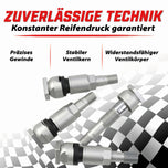 Schrader RDKS/TPMS Ersatzventil