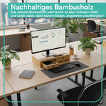 Monitorständer mit zwei Schubladen 42 x 24 x 10,5 cm