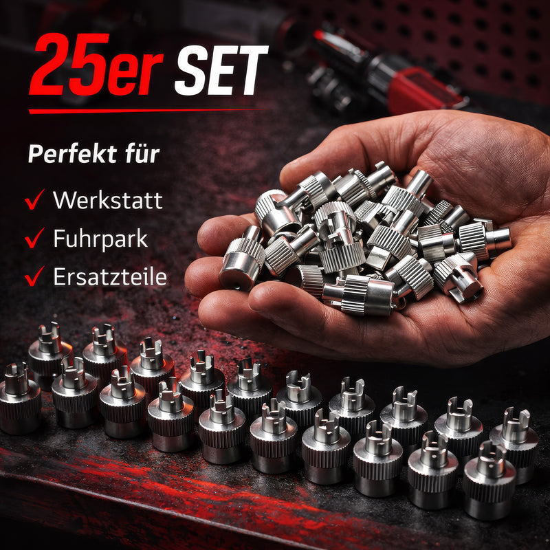 Metall‑Ventilkappe Schrader mit Ventileinsatz‑Ausdreher 25 Stück