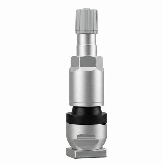 Schrader RDKS/TPMS Ersatzventil PP-RDKS-A-09