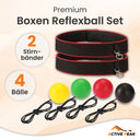 Boxer Reflexball